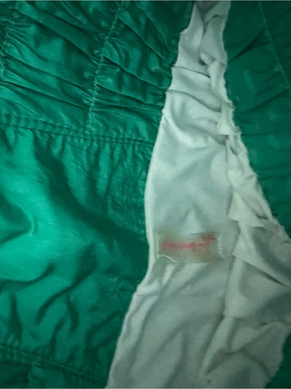 Free People Emerald Green Smocked-Waist Athletic Shorts - Picture 5 of 5